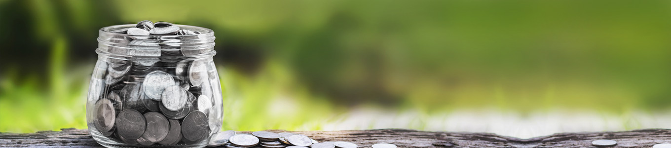 Pradhan Mantri Jan Dhan Yojana