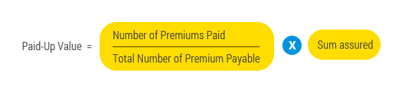 Paid up value equation